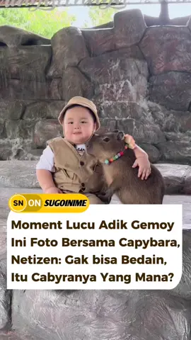 sama-sama antengnya jadi kayak 2 bersaudara yang lucu. sc :tt/plepawanee #fyp #kids #capybara #funny #cute #lucu #animals #hewan