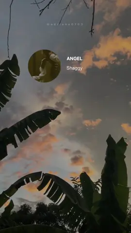 Angel - shaggy #lyrics #paratii #angel #shaggy #speedsongs #fyp #subespañol @luisangelromansar 