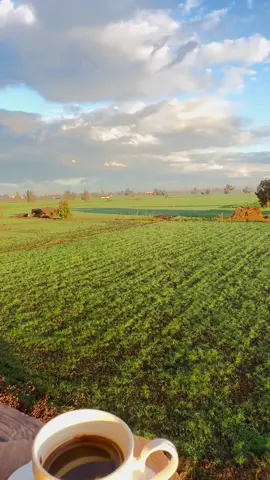 #الطبيعة #اجواء #الريف #المصري #ريف#كفرالشيخ #دسوق #كسبلور 