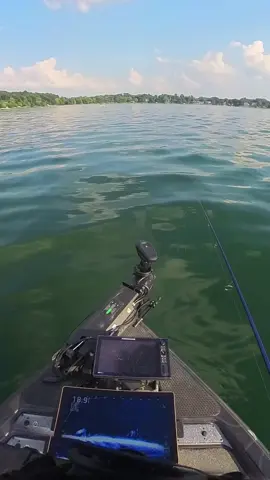 There are a lot of different ways to work a drop shot. Sometimes the simplest way (just letting it sit) is the way they want it! Always try the easiest way first and work your way to more action 👍🏻 #dropshotfishing #finessefishing #bassfishing #fishing #fishingtips #livescope #forwardfacingsonar 
