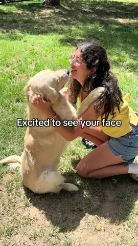 welcome home sully. #olebrandselect #servicedog #universityofwashington #dog #epilepsy 