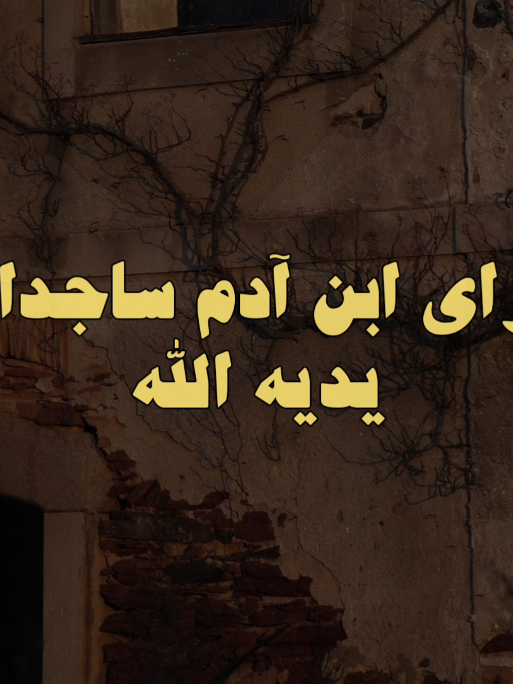 #الشيخ_كشك  #صلي_علي_النبي  #لا_إله_إلا_الله_محمد_رسول_الله 