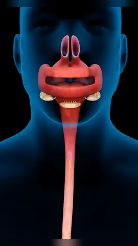 the most dangerous signs of insulin resistance #diabetes #diabetic #healthyliving #healthytips #insulin #DidYouKnow #magnesium 