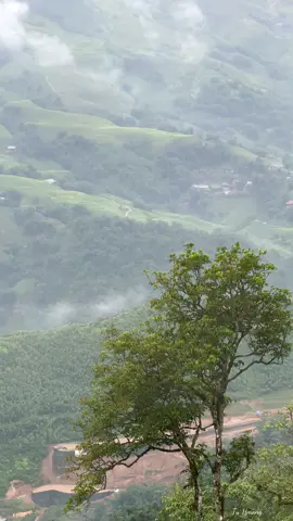 Zoo siab tau log ntsib Koj #nkaujhmoob #khosiab #tusiab 