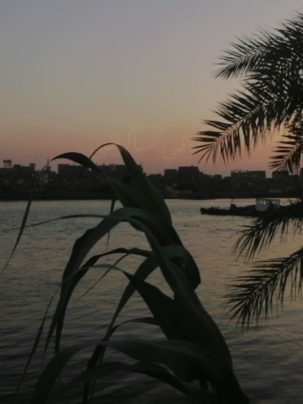 كانت شادية فتاة حالمة في عمر الـ13، حين لمحت لأول مرة ابن الجيران في أحد الأفراح، حيث لفت انتباهها بوسامته وبشرته السمراء المميزة. وبمرور الأيام نشأت بينهما مشاعر بريئة، وبدأ الإثنان في تبادل الرسائل الورقية كوسيلة للتعبير عن إعجابهما ببعضهما البعض. ولكن هذه القصة الجميلة لم تدم طويلاً، إذ تعرض الشاب لحادث مأساوي أدى إلى وفاته، مما ترك أثرًا عميقًا في قلب شادية الصغيرة، وأدخلها في حالة من الحزن والأسى استمرت معها لسنوات. ومرت السنوات وكبرت شادية لتصبح واحدة من أبرز نجمات الغناء في الوطن العربي، وعندما قدم لها الملحن منير مراد أغنية 