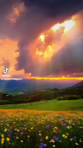 #LIVEIncentiveProgram #GenuineInteractionMatters #PaidPartnership #viral 