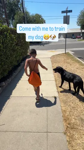 Come with me to train my dog #viral #fyp #happy #funny #dog #dogsoftiktok 