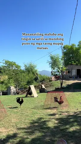 🙌🫡.              #batangsabungero #pitmaster #fyp 