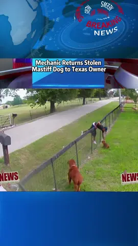 Phillies land All-Star closer Jhoan Duran ahead of MLB trade deadline 👀🔥 #JhoanDuran #MLBTradeDeadline #Phillies #BaseballUpdates #SportsNews