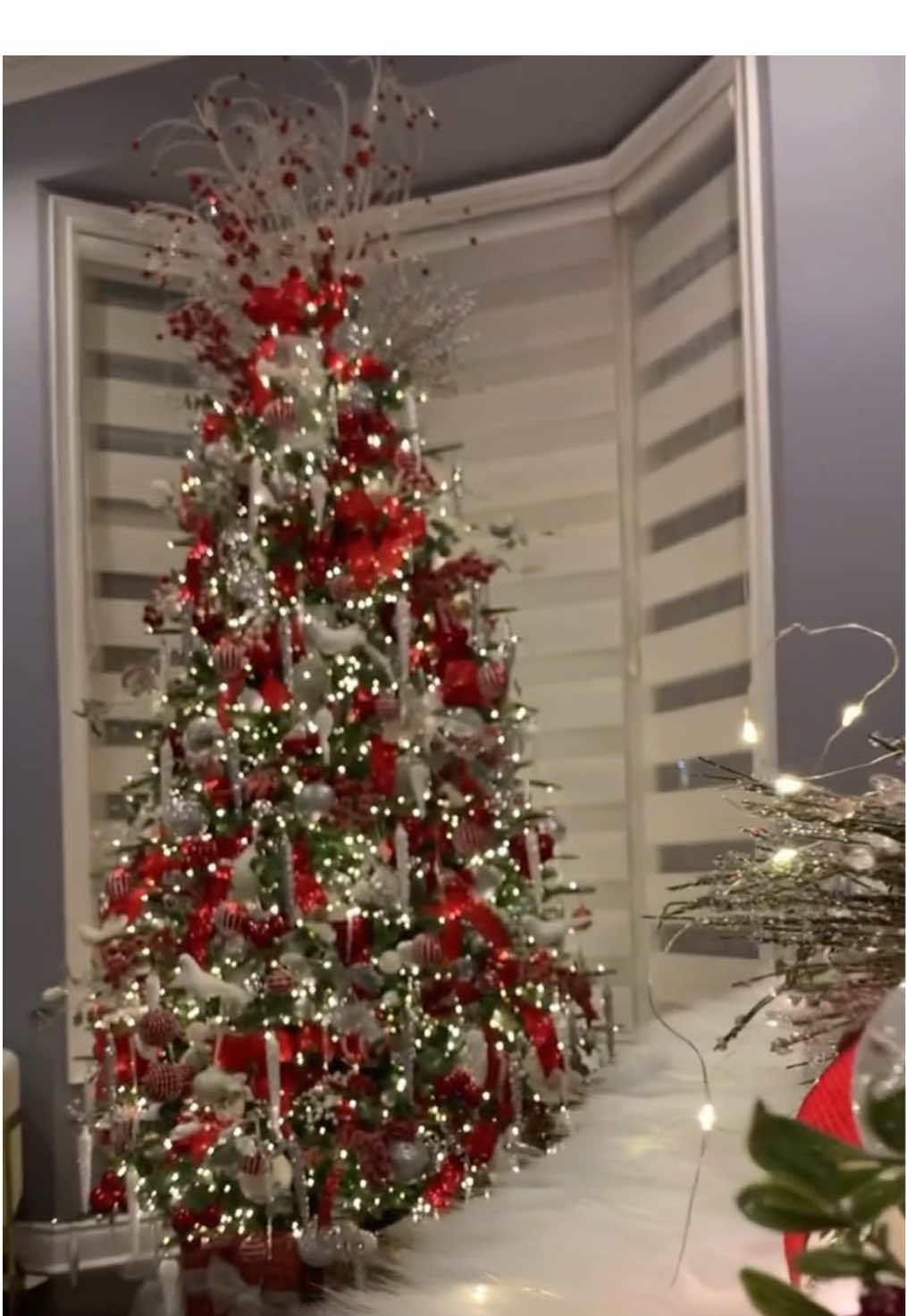 Are you ready for Christmas? 🎄🎅❄️ . . . #christmas2025 #christmas #christmasvibes #christmasmood #cozychristmas #christmasdecor #christmastree 