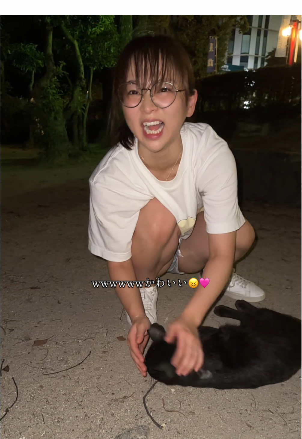 思わぬ新メンバーとの出会いがあったよ😊💗 いつも愛されてるなぁ🥹 #猫 #にゃんこ #猫のいる暮らし 