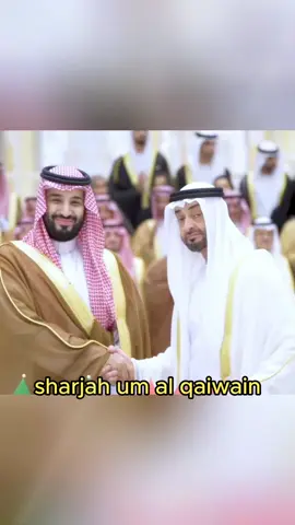 What are the differences between Qatar, the United Arab Emirates and Dubai?#amazing #DidYouKnow #knowledge #fyp 