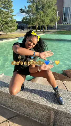 #poodles #sigmagammarho #sgrho #1922 #sigmawomen #prettypoodles #ladysigma 