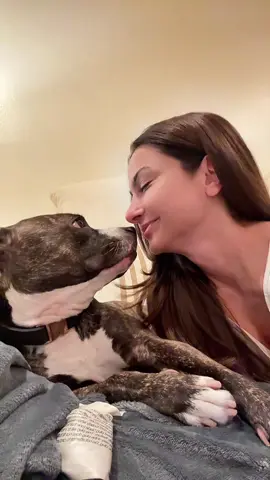 Her face at the end 🥰 #pitbull #pitbullsoftiktok #dog #fyp 