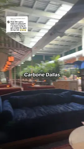 Replying to @Christabel_Rose Carbone Vino has a light vibe to it, Carbone has a darker more intimate vibe to it. But It’s so easy to get a table at Carbone Dallas and most of the time you do not need any type of reservation lol #carbone 