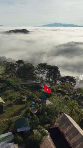 Đã săn mây Đà Lạt bao giờ chưa các bạn ? #dalatcham 