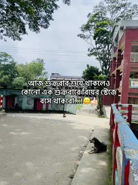 #foryou #foryoupage #fyp #vairal #trend @tiktok short @tiktok bd official 