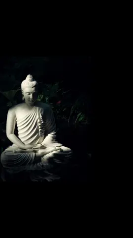 #ခွဲကြရမှာပဲလေ #အခွဲကောင်းပါစေ #ကိုရီးယားဆရာတော်ဦးဝိစိတ္တ #မနာပဒါယီ#ဗုဒ္ဓ #အဆုံးအမ #တရားတော်များ #တရားအသိဖြင့်ဘ၀တွေအေးချမ်းကြပါစေ #မေတ္တာဖြင့် #မေတ္တာခြုံ၍လုံပါစေသော်🙏🙏🙏 #dama #buddha #fyppppppppppppppppppppppp #fypシ゚viral 