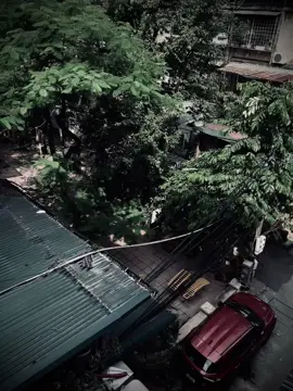 “Cuoc song la cua ban”#phamyen🍁 #xuhuongtiktok 