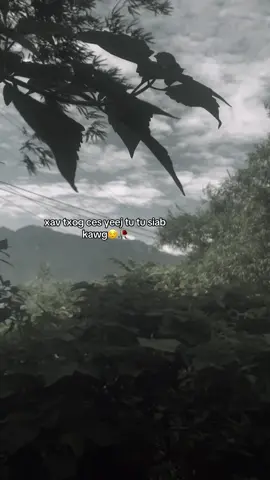 #xuhuongtiktok #hmoob 