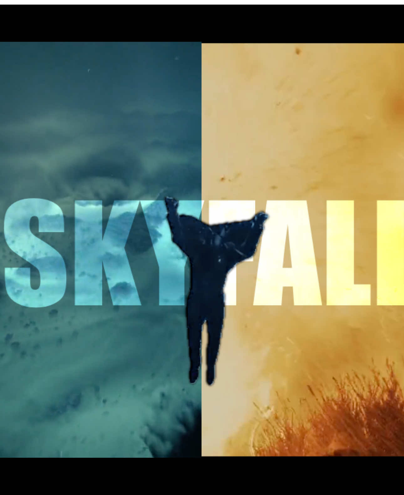 SKYFALL || Absolute best of series perhaps :)  #fyp #viral #edit #trending #creed 