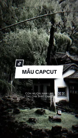 Con muốn nắm lấy tay cha thật chặt những vết chai sần.. #CapCut #edit #mẫucapcut #xh #nhachaymoingay #lyrics #capcutmaster 