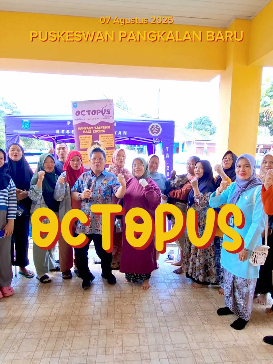 Yess... OCTOPUS is Operation of Castration at Puskeswan yaitu program kastrasi kucing jantan gratis yang mana diinisiasi oleh Dinas Pertanian dan Ketahanan Pangan Kabupaten Bangka Tengah bertempat di Pusat Kesehatan Hewan (Puskeswan) Pangkalan Baru, Kamis (07/08). Kegiatan ini dihadiri oleh Wakil Bupati Bangka Tengah, Bapak Efrianda, S.T. Kegiatan yang merupakan annual event di tiap Puskeswan di Bangka Tengah ini bertujuan untuk mengurangi over populasi kucing. Kepala Bidang Peternakan dan Kesehatan Hewan, Bapak Sukandar, S.P mengatakan bahwa kastrasi pada kucing jantan mempunyai manfaat antara lain menjadikan kucing jantan tidak memiliki hasrat kawin sehingga kucing menjadi lebih tenang, tidak spraying di sembarang tempat dan kucing menjadi lebih sehat.  Pada momen ini, sebanyak 19 ekor kucing telah dikastrasi. Perhatian dan antusiasme terlihat dari wajah para pemilik kucing dan Wakil Bupati yang mengikuti setiap rangkaian kegiatan OCTOPUS, mulai dari tahap registrasi pemilik kucing, tahap pemeriksaan awal (penimbangan bobot badan dan pengecekan suhu tubuh), pre operasi dan operasi yang dilakukan oleh Medik Veteriner dan Paramedik Veteriner  profesional. Para pemilik kucing mengaku senang karena hal ini sangat membantu untuk mengendalikan populasi kucing karena dengan kastrasi kucing menjadi lebih sehat.  Diharapkan kedepannya semoga program seperti ini sering dilakukan, sehingga kesejahteraan hewan bisa diwujudkan. Sebaliknya, semakin tidak terkendali populasi kucing, maka kemungkinan kesejahteraan hewan itu sendiri akan terabaikan. @Efrianda__ @NAKKESWAN BANGKA TENGAH @kecamatan_pangkalanbaru  #bangkatengah #2025 #sterilization #xybca #vet #fyp #berandatiktok #viral #kucing #lewatberanda #lewatberandafyp #fyppppppppppppppppppppppp 