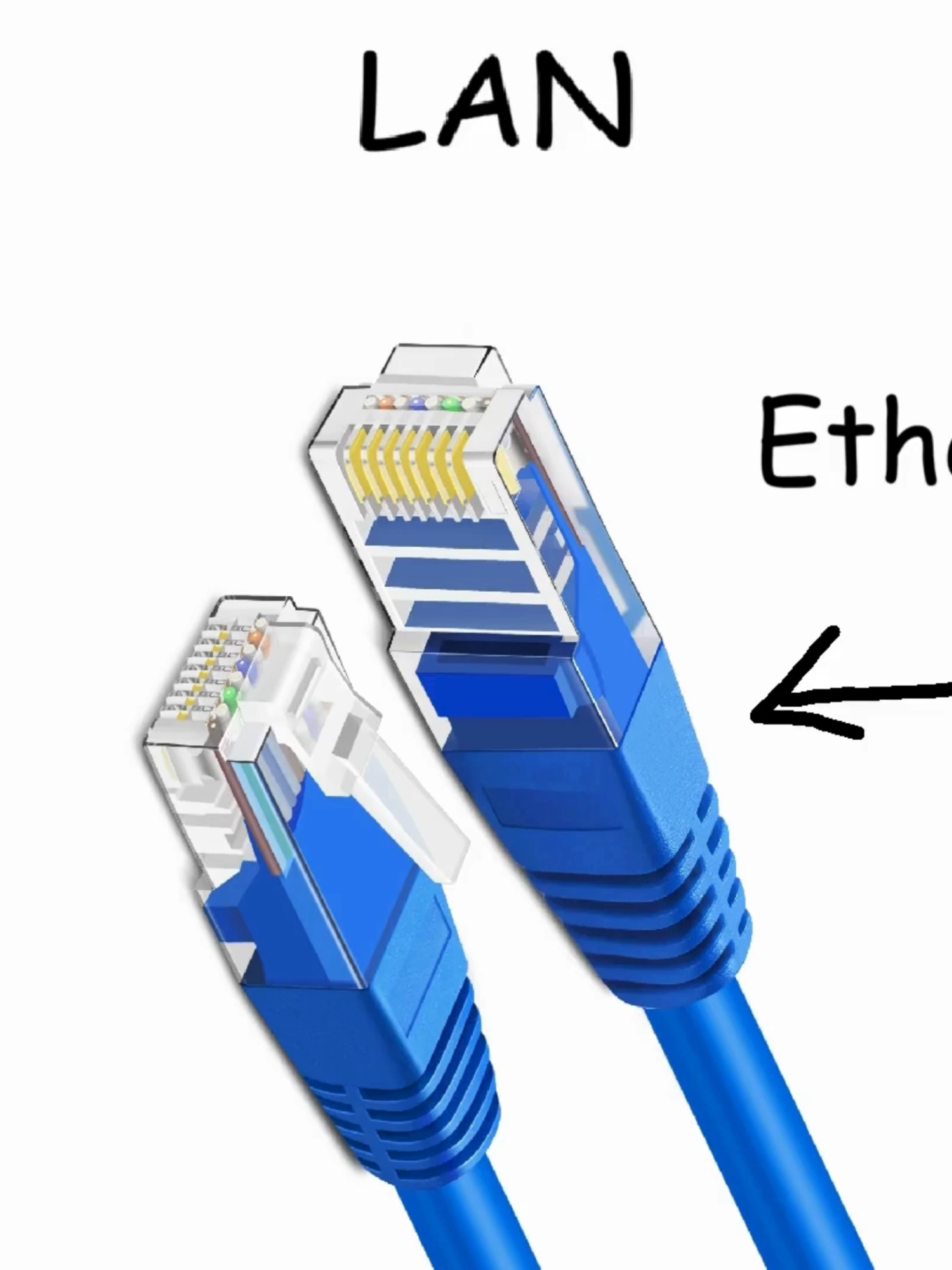 Every Type of Network (LAN) Youtube: Byte Sized Explainer #computer #Tech #network
