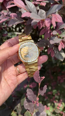 Tàu ngầm vàng đã đưa anh bình gold đi