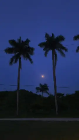 #fullmoon #moon #nature #fyp #belize
