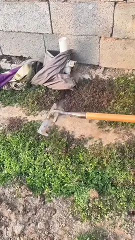 weeding！🤪🤣#walensee#weeding#fyp#gardentools#craftsman#asmr
