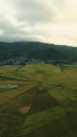 📍Spider Web Rice Fields, Cancar, Manggarai, Flores, East Nusa Tenggara #seeflores #manggarai #flores #eastnusatenggara #indonesia #ruteng #cancar 