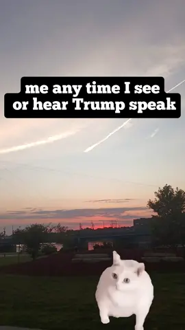 physically repulsed #fdt #politicalsatire #politicalmemes #politicstiktok  #Meme #MemeCut #CapCut 