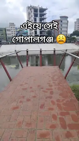 এইযে সেই গোপালগঞ্জ 😩🐸#fyporyouシ #ppppppppppppppppppppppp 