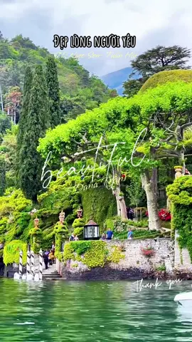 #xuhuớng #Nhachaycanhđepthiênnhiên #Anhghepnghethuat #Hoa #giaitri #nhạctrữtìnhbolero #nhactamtrang #nhacthinhhanh 