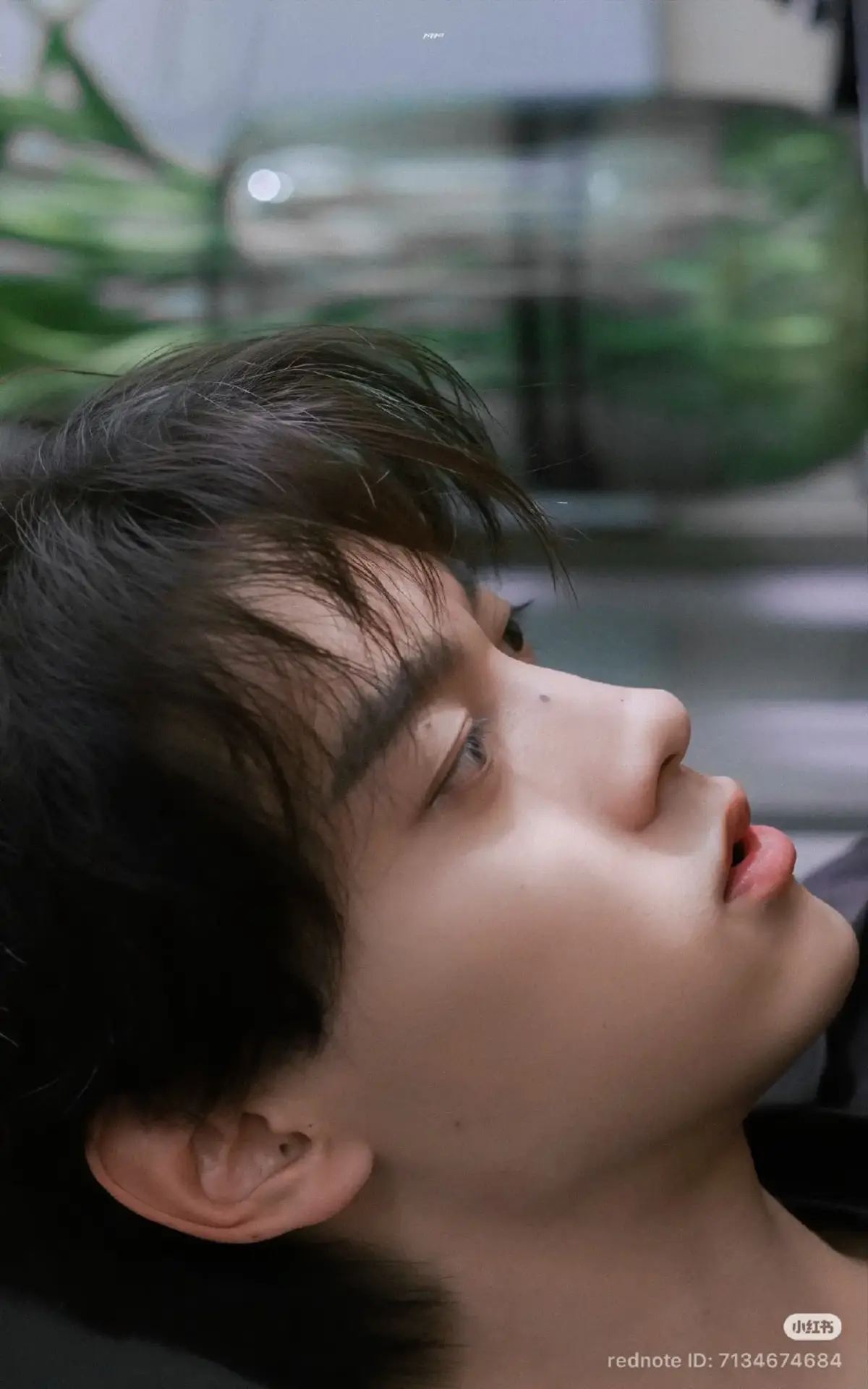 I'm crazy about you!! chicheng ❤‍🔥❤‍🔥❤‍🔥 #tianxuning #revengedlove #trending #wallpaper #fyp 