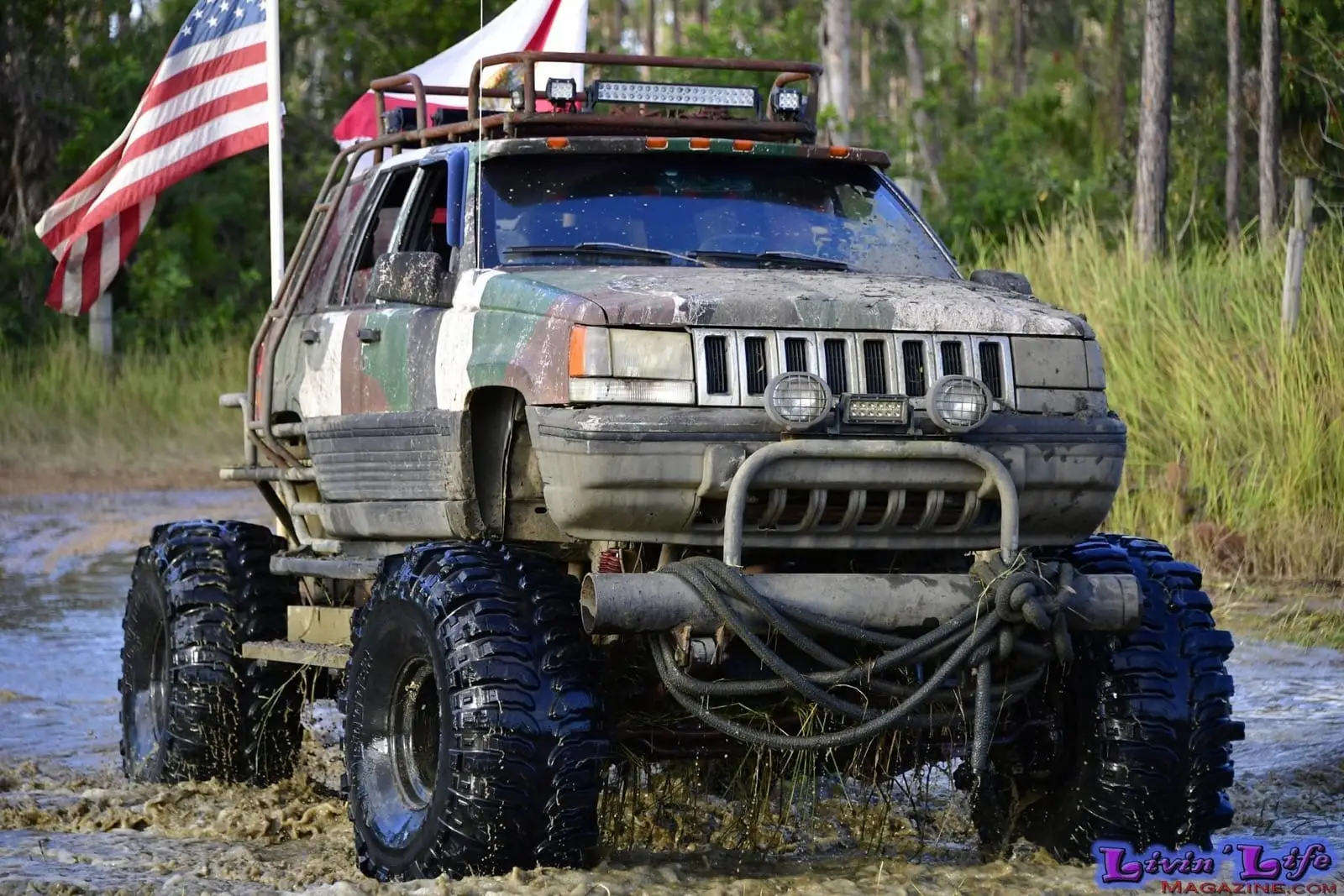 #LIVEIncentiveProgram #LIVECanBeEasy #PaidPartnership 