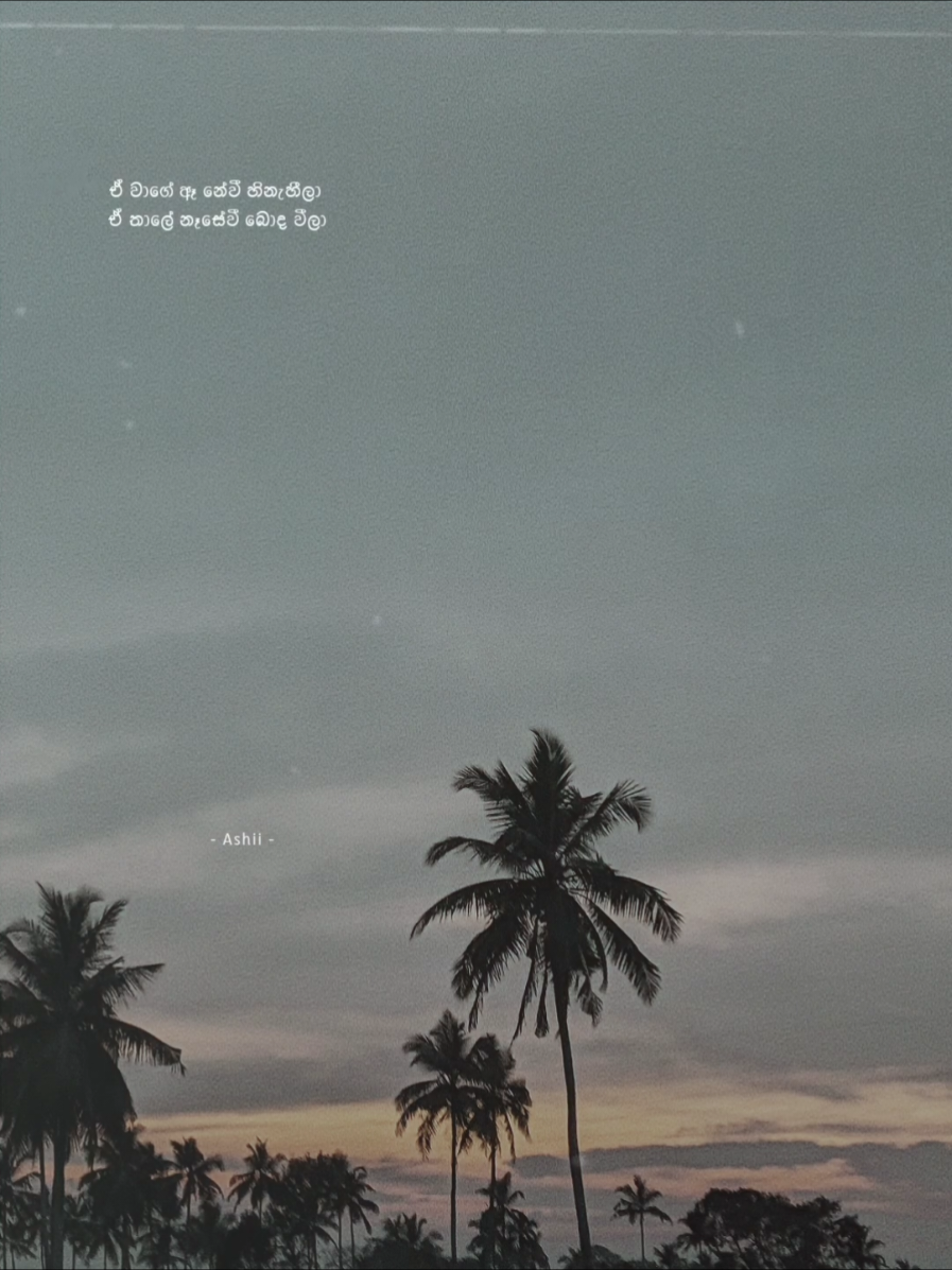 Wait for Boom !🤍 - Dase durin  @DILU Beats  #fyp #songlyrics #sinhala #fyppp #fyp #dropmusic 