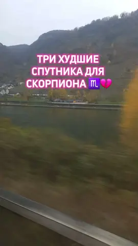 #гороскоппозадиаку #скорпион #скорпионы #скорпион♏  #гороскопы #знакизодиака #знакизодиакаблезницы #знакизодиакафакты #совместимость #совместимостьпознакам #стрельцы #блезницы #стрелец 