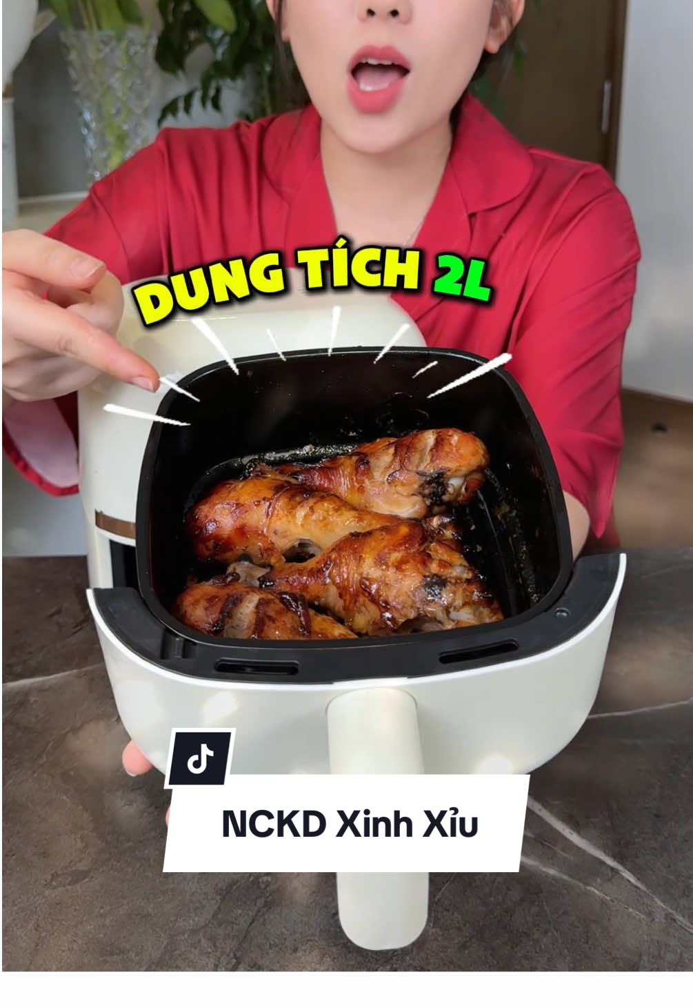 Nồi chiên không dầu 2L nhà Gaabor #noichienkhongdau #noichien #noichienkhongdaudanang #noichiengaarbor 