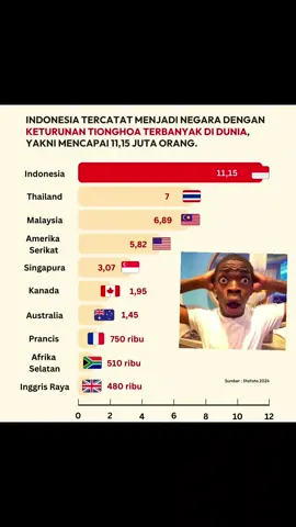 Indonesia tercatat, memeiliki populasi keturuna orang#Tionghoasekitar11,15 juta orang#fypppppp #Chindo🇨🇳🇮🇩 #fypforyou 