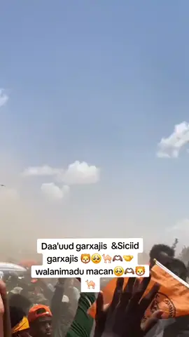 waa video  kamida video yadaya aan haystay markasta oon dawado waxay inoqata malin aan garb kaga aanu ka bixin wllky iga weyn wa abaal aan u hayno  mar kasta aan garabkood noqon doona   🥹 teed kle waxan hadan garab weyn oo lama taab taan aha noogu jira ninkii buurta dheer iyo rafaadkii ila so garab istagaya waa malin aan marna niyada si uga baxy. waxan manta helayn waa halkii uu nala maraya  mayir keen  A.A.MOOGE  halyey qaran weeyn abaalkisa jano rabi ha ka dhigo imika waxan u uololyn in uu noqoda xisbiga gudoomiyihiisa inshlh  ilahay ha nagu guuleeyo  inta Wixi ka daneeya madaxweyne  qaran banu ka dhigaya inshlh  waxan noqon doon madaxweyne cirro ninka noo beddli doon   meel kast oo uu tag myir wa mid duco iyo aman la socoto  ilaah ha karameeyey  ♥️🤴🫶🏼