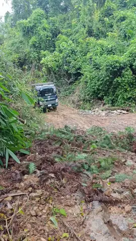 đường như này có cầu trời mới lên được.