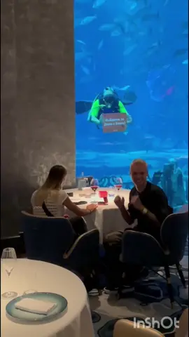 я в тебе нашёёёл абсолютно всё !!!🤍|| стд Вове,самый лучший я тебя очень сильно люблю!! спасибо большое за то что ты у меня есть я с тобой такой счастливой стала нам скоро год🥹 я надеюсь мы никогда не будем ссорится и будем вместе всегда ❤️ любимый мой ♥️  #ларионовы #fan_larionov3 #аняищук #fyp #димасблог @lariono.vi🏝️☀️ @ДИМАСБЛОГ 😈❤️ @Anya Ischuk @༺ 𝓹𝓮𝓹𝓮𝓵.𝔁𝓵 ༻ 