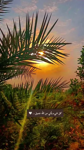 كل شيء يأتي من الله جميل #تصويري_احترافي_الاجواء👌🏻🕊😴 #مجرد________ذووووووق🎶🎵💞 #تصميم_فيديوهات🎶🎤🎬 #شعب_الصيني_ماله_حل😂😂 #طششونيي🔫🥺😹💞 #متابعه_ولايك_واكسبلور_احبكم 