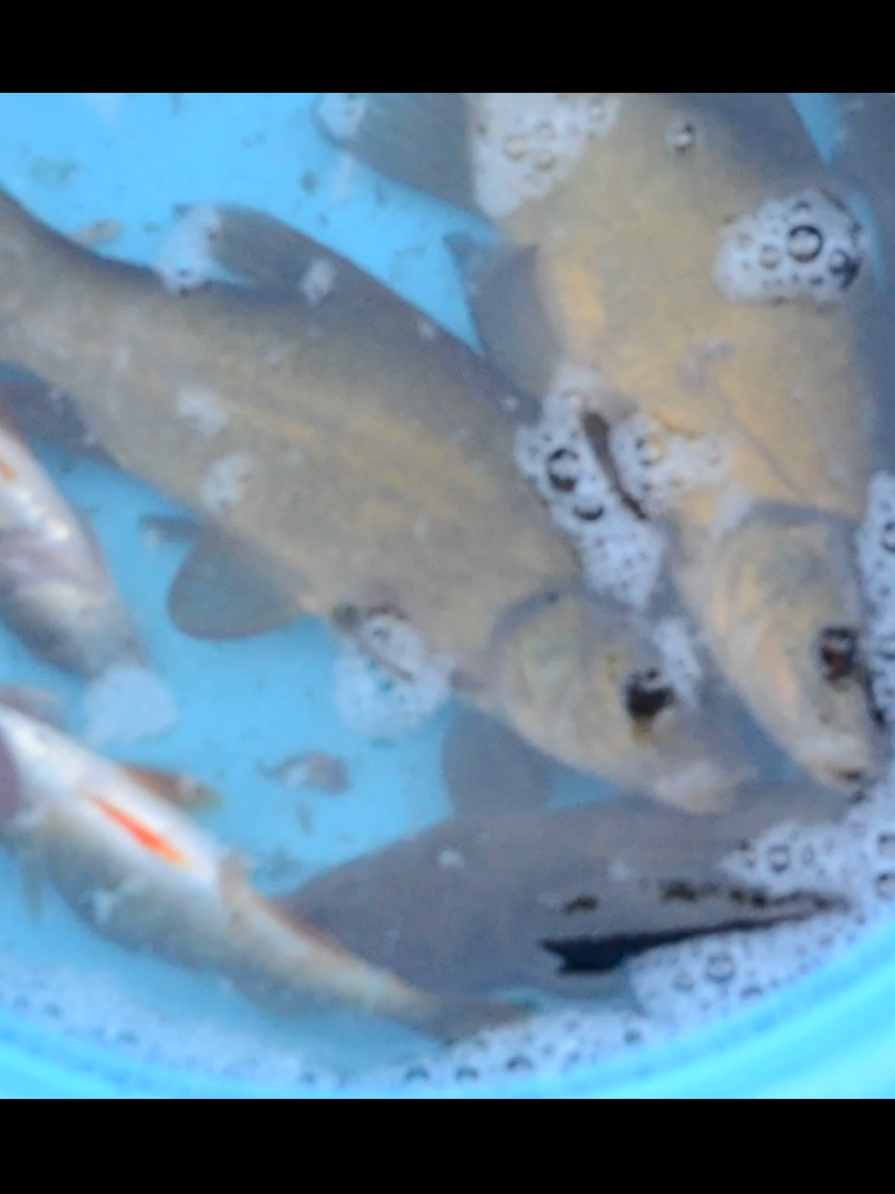 после  дождика