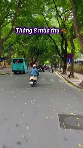 Tháng 8 chạm ngõ, lá chưa kịp vàng mà lòng người đã kịp chênh vênh. Mùa thu không hẹn mà đến, như ai đó từng bước ra khỏi đời ta thật khẽ, mà cũng thật sâu.   Tháng 8 buồn như một bản tình ca cũ chưa từng viết lời... #muathu #thang8 #thuhanoi #nhachaymoingay #nhacbuontamtrang #xuhuong #mytam 