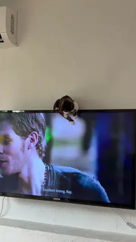 He’s really into TVD too