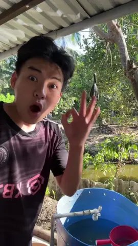 The sound of rising water #funny #cute #xuandongvlog #egg #magic 