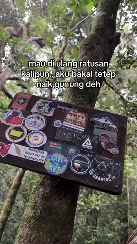 #fyp#mountainview #storygunung #pendakigunung #foryou 